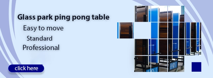 Glass park ping pong table 